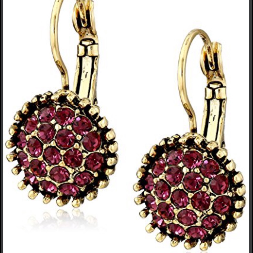 Yochi Amethyst stone Earrings